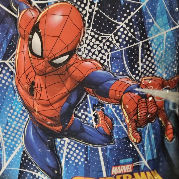 Spider-Man Backpack with Web Design - Picture 4 of 4